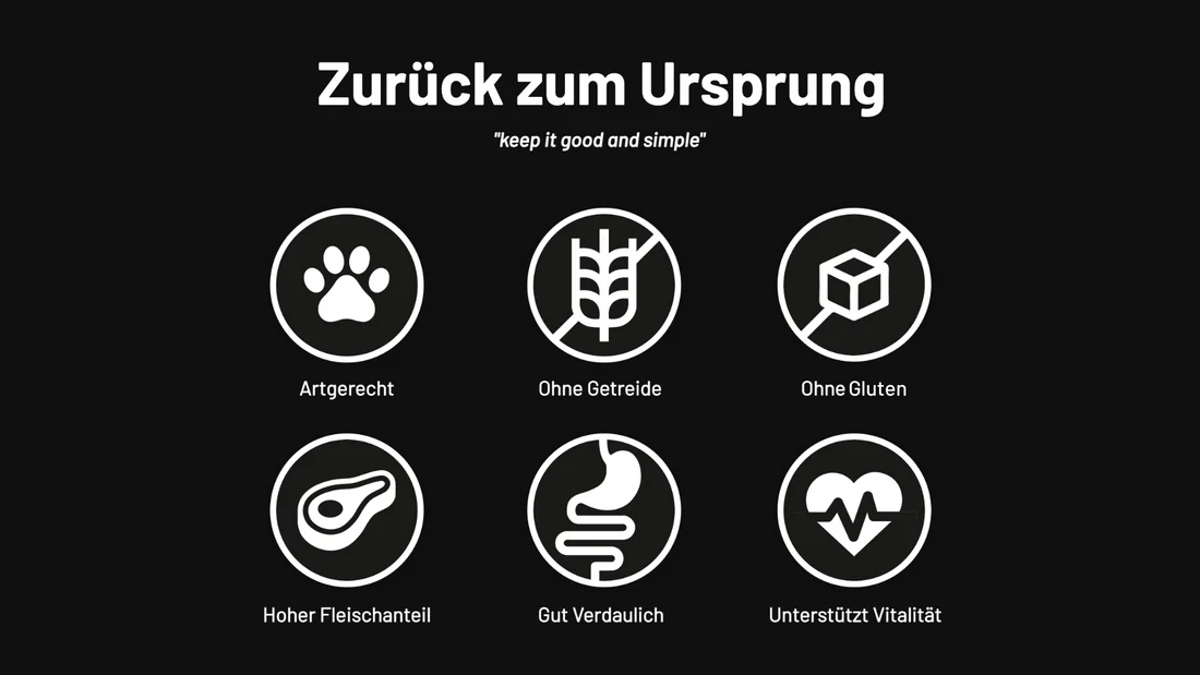 Schnauze & Co Hundefutter RIND & REIS 6x