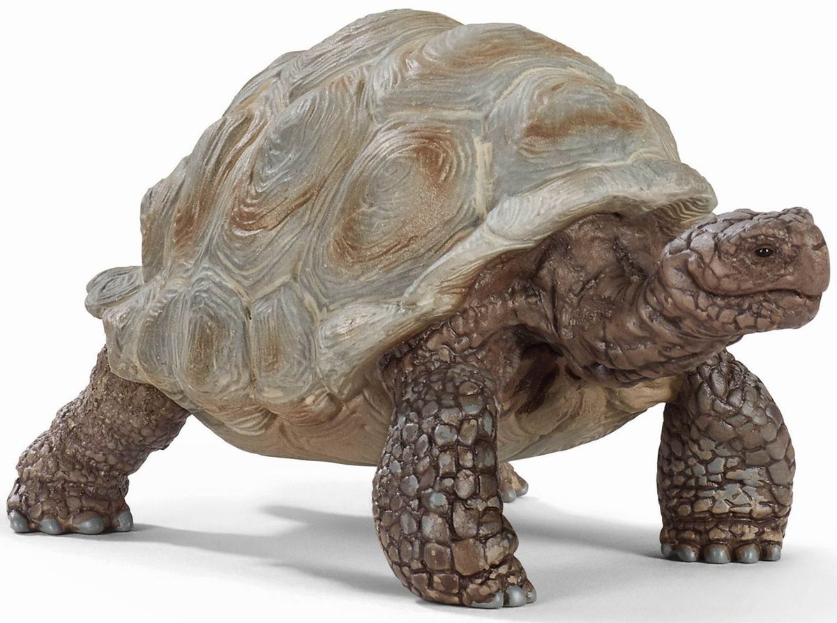 Spielzeugfigur Riesenschildkröte