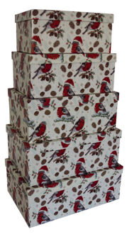 Weihnachtsgeschenkkarton Vögel - 5 tlg., rechteckig